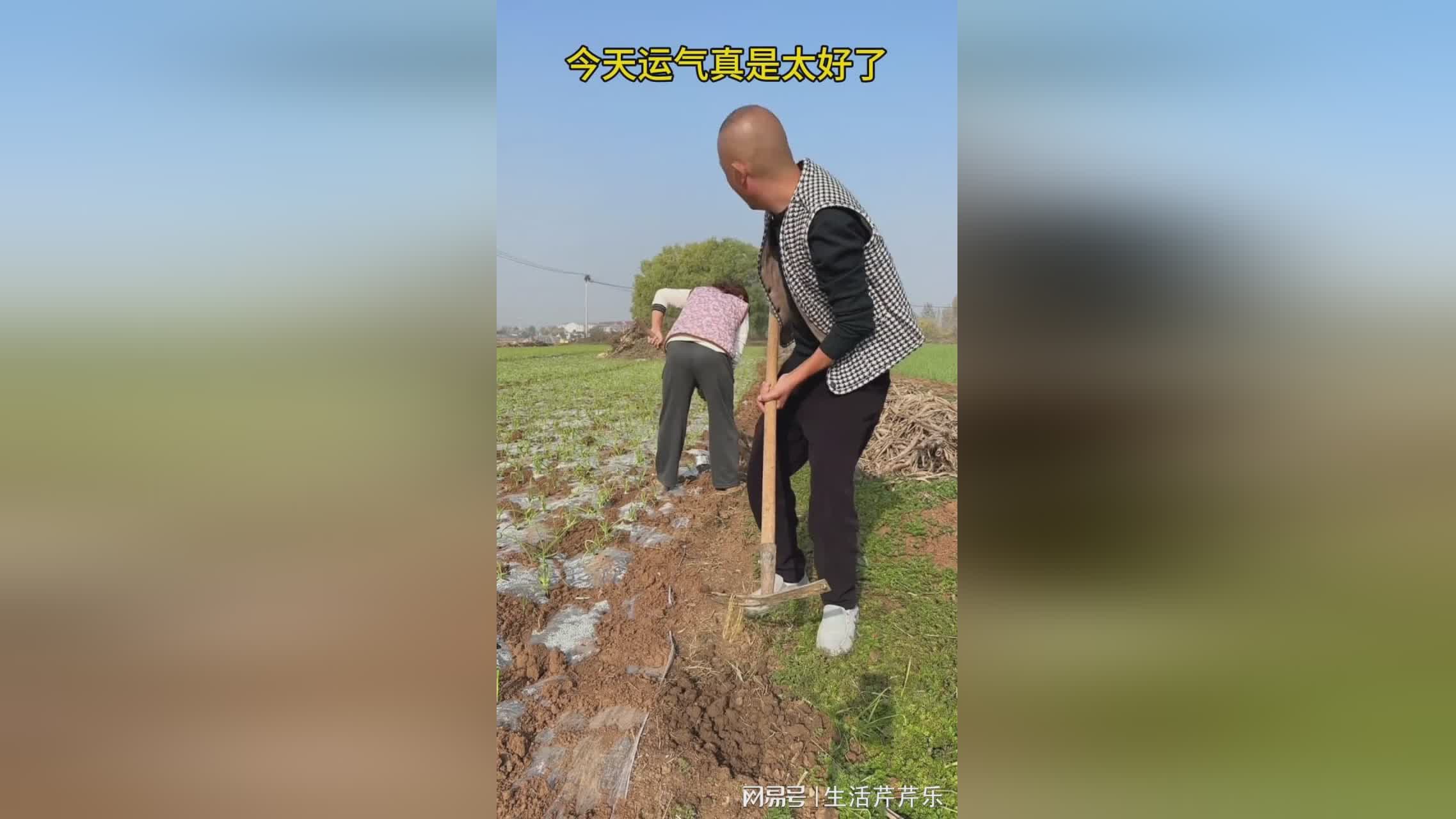 图