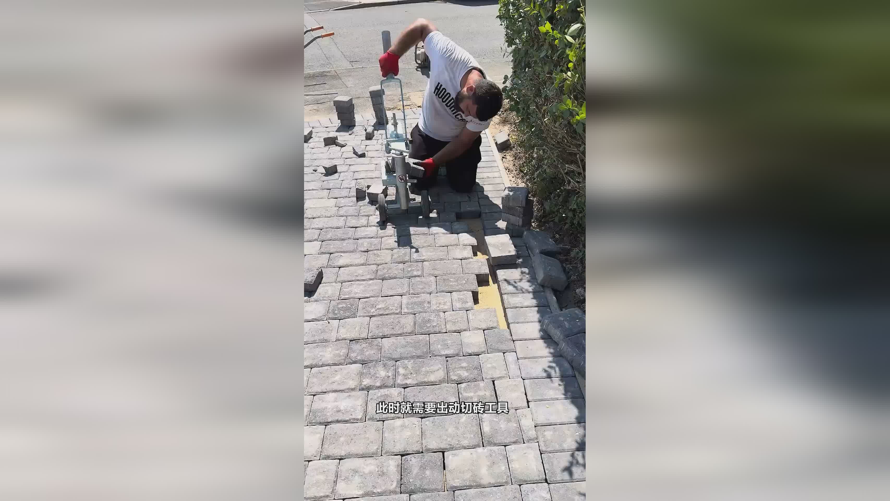 图