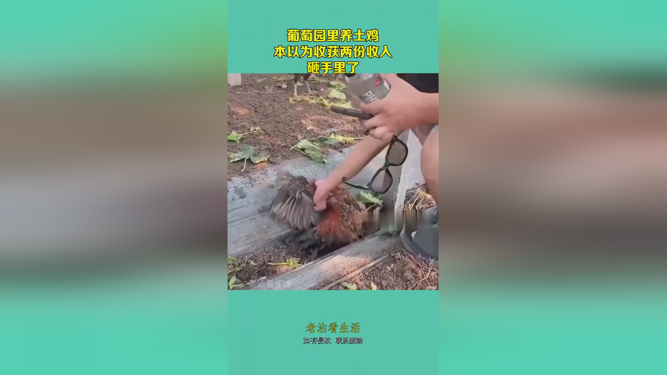 图