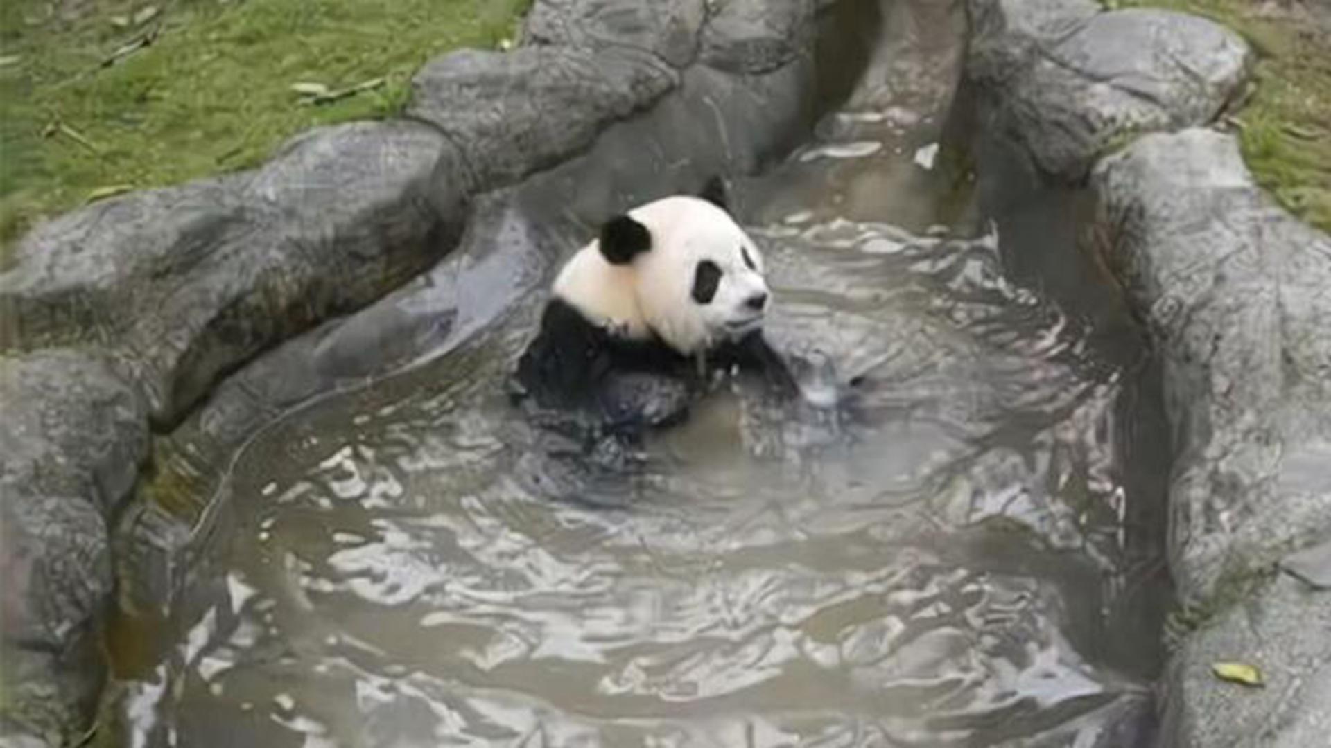 图