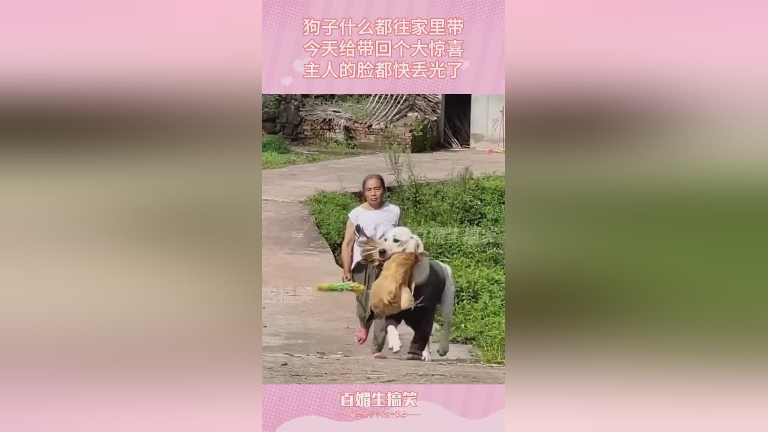 图