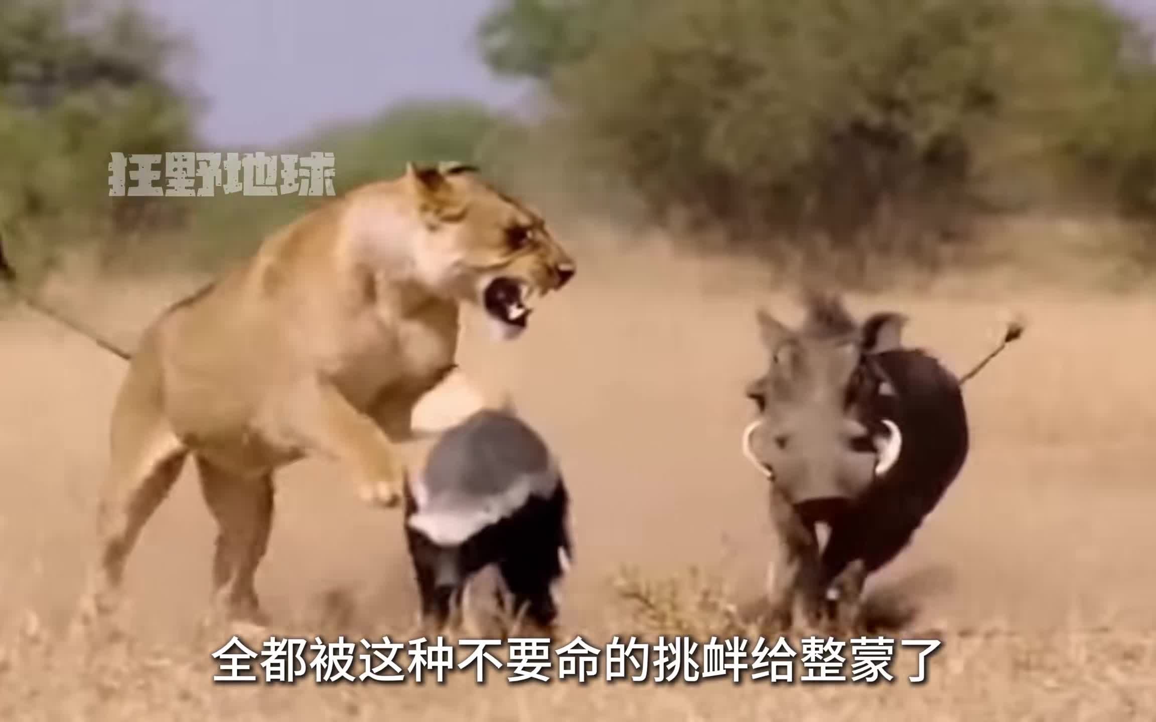 图