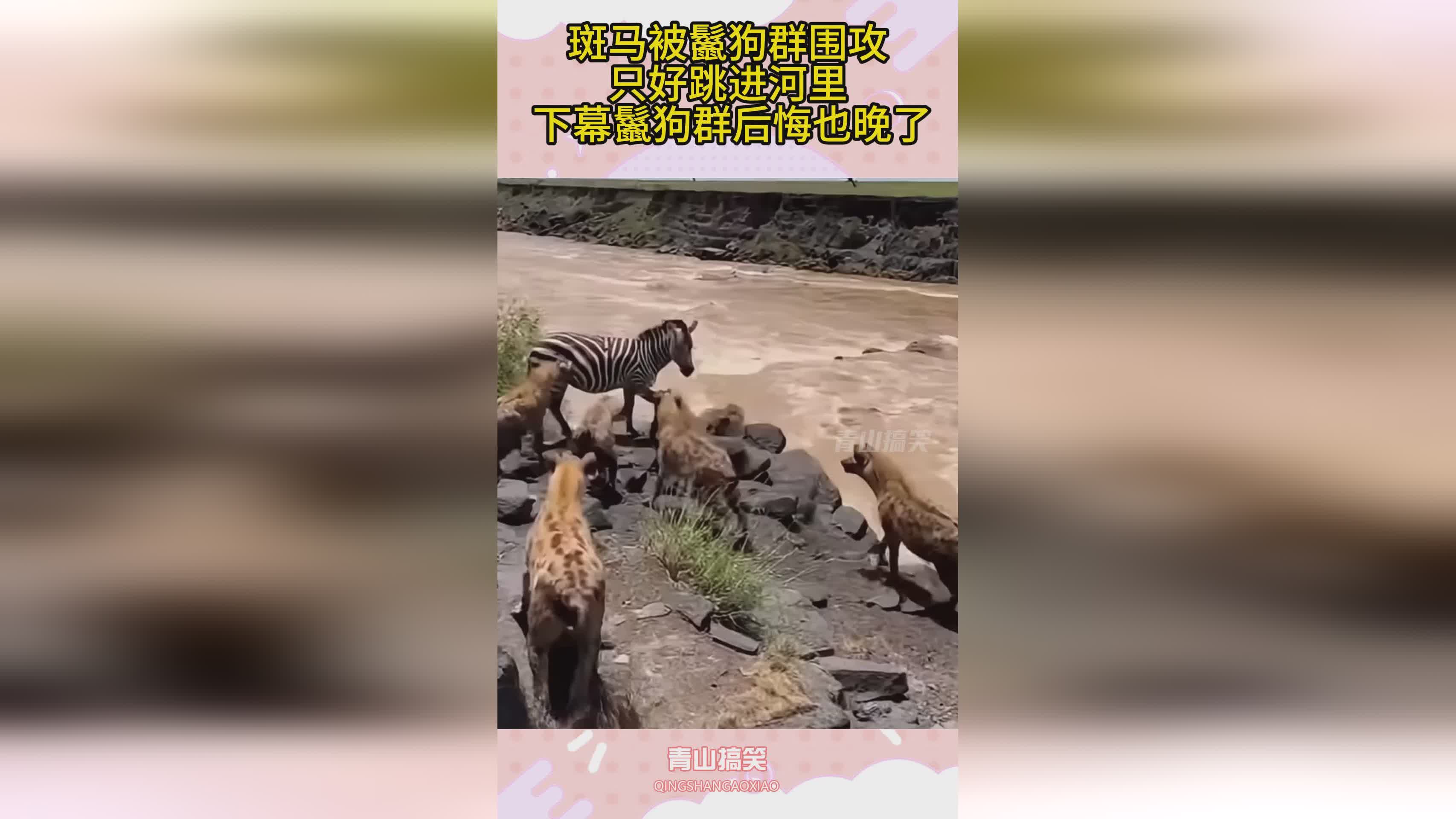 图