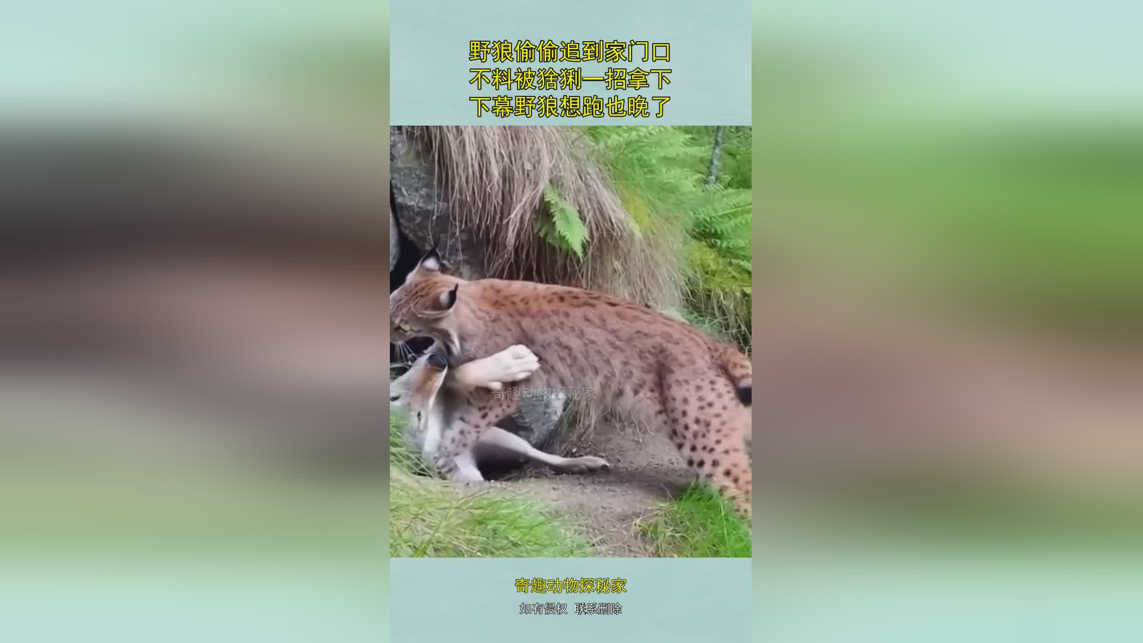 图