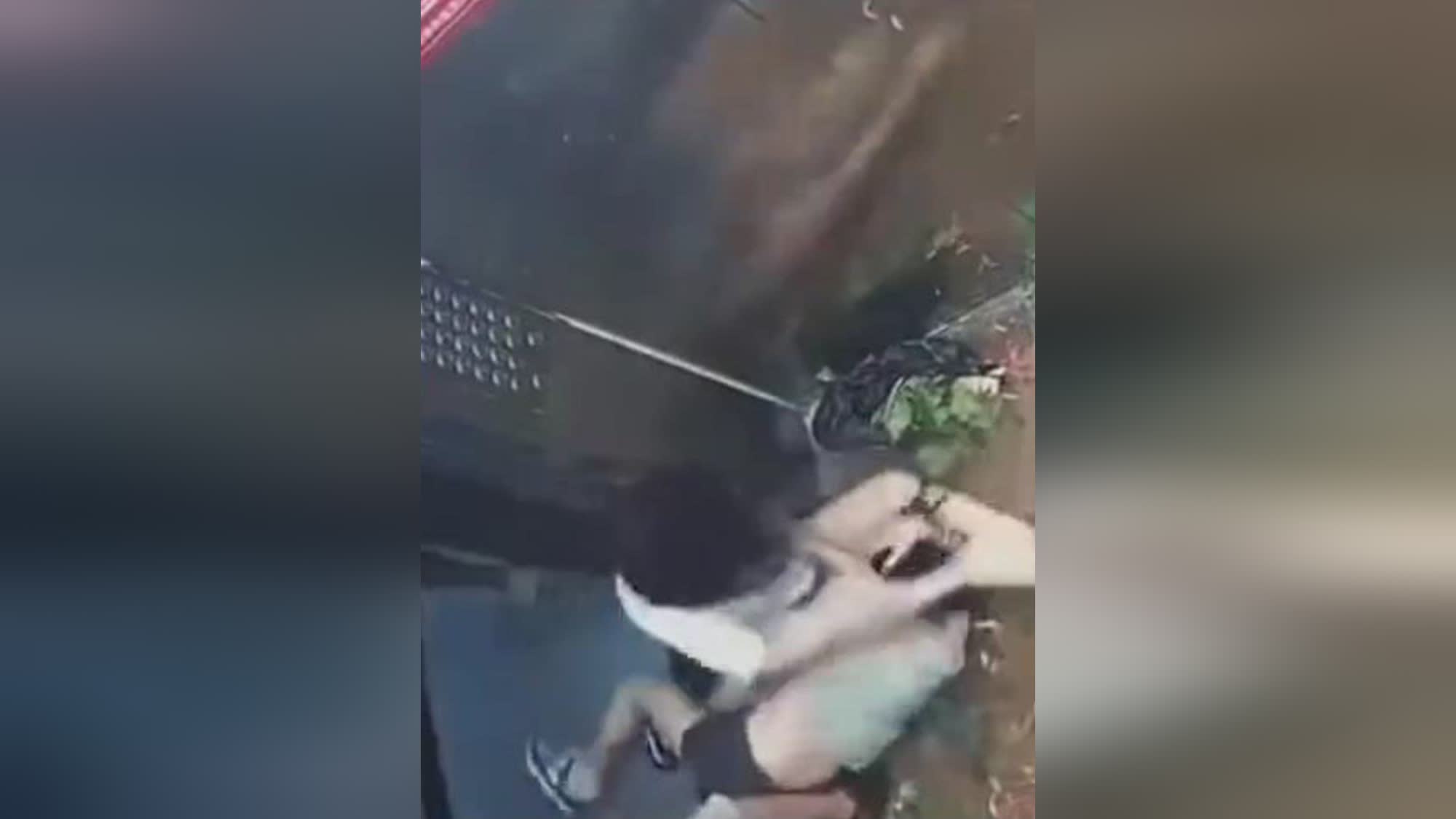 图