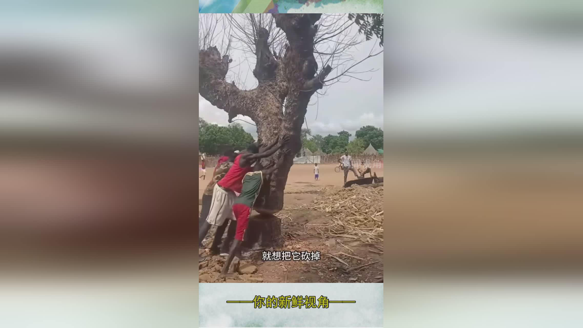 图