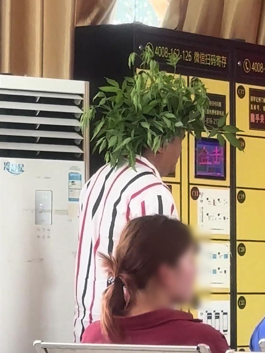 图