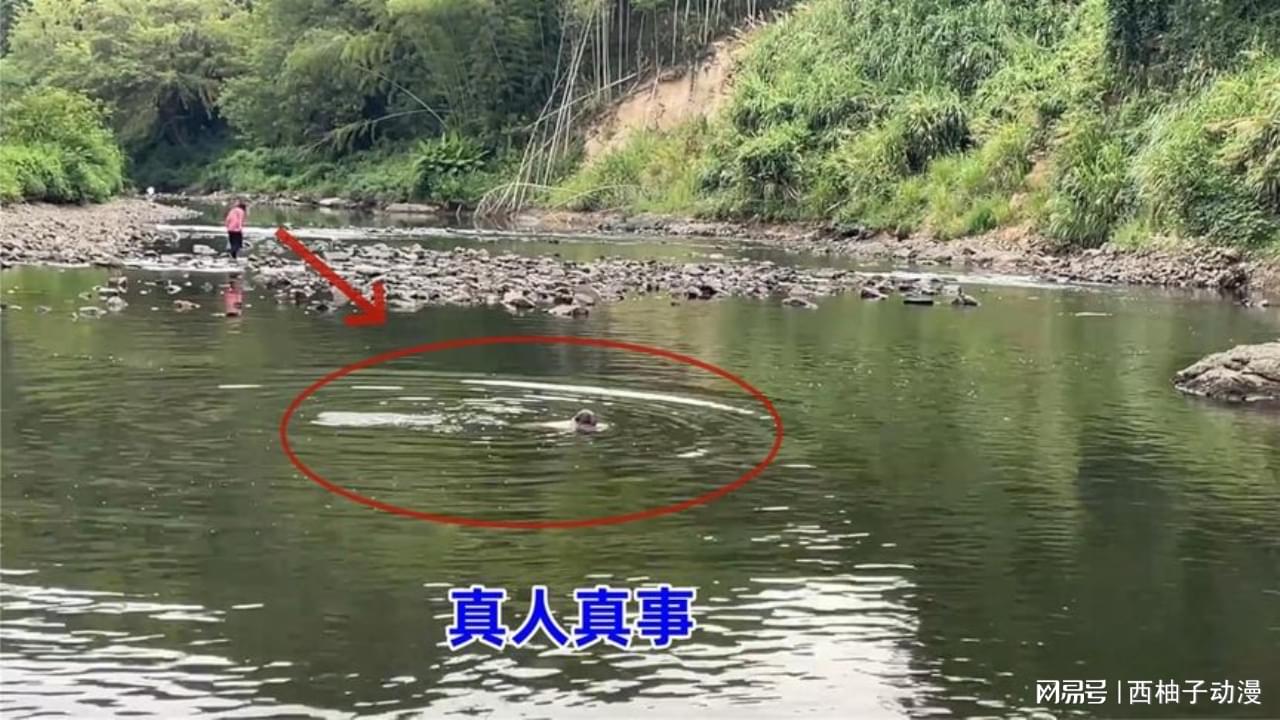 图