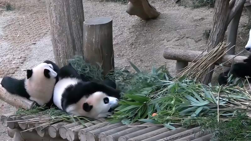 图