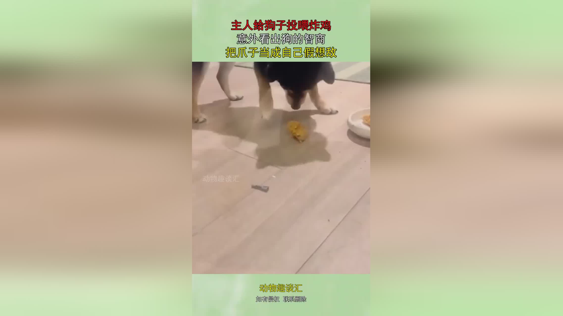 图