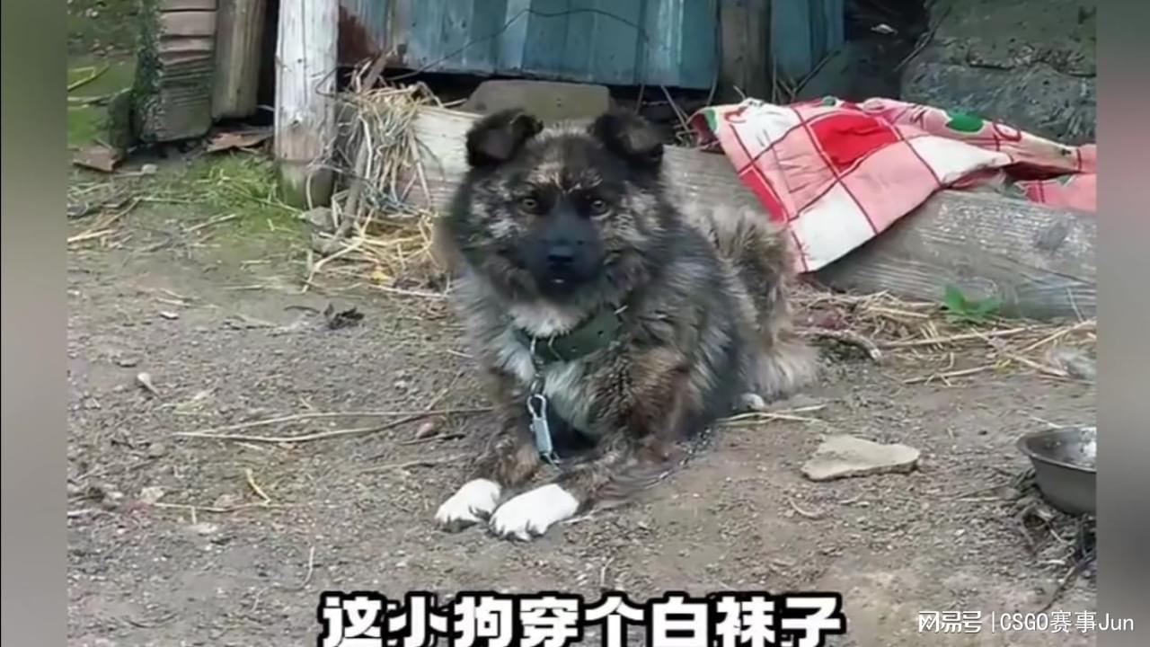 图
