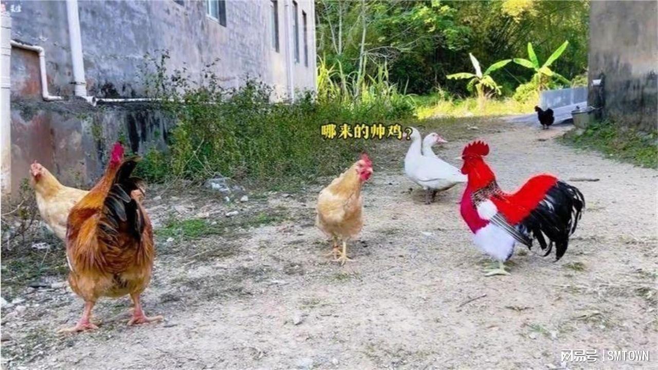 图