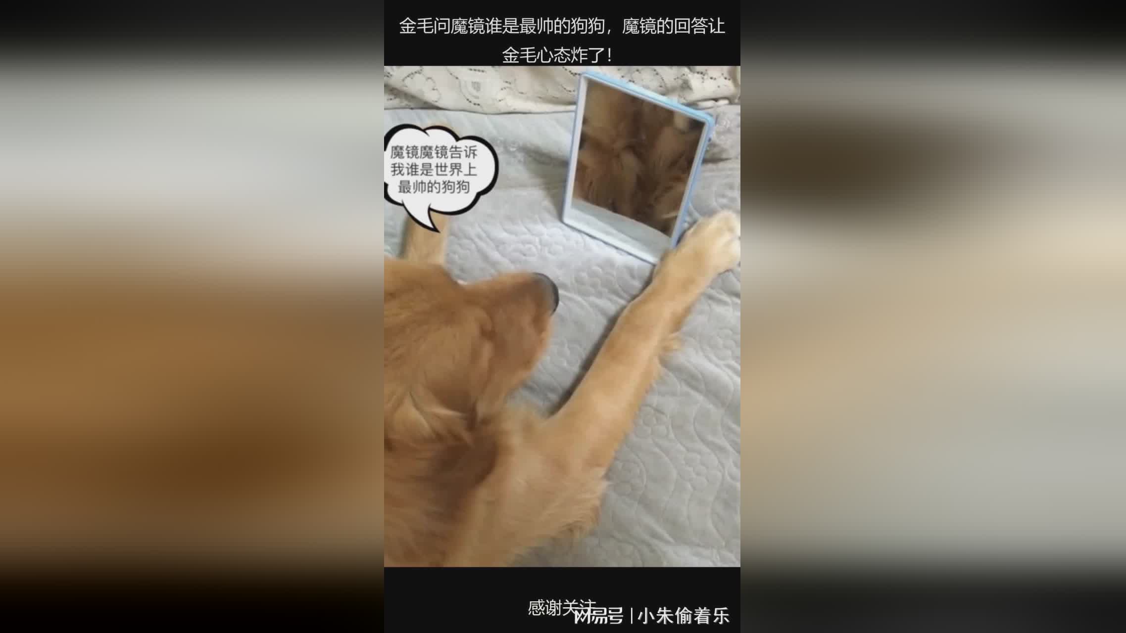 图