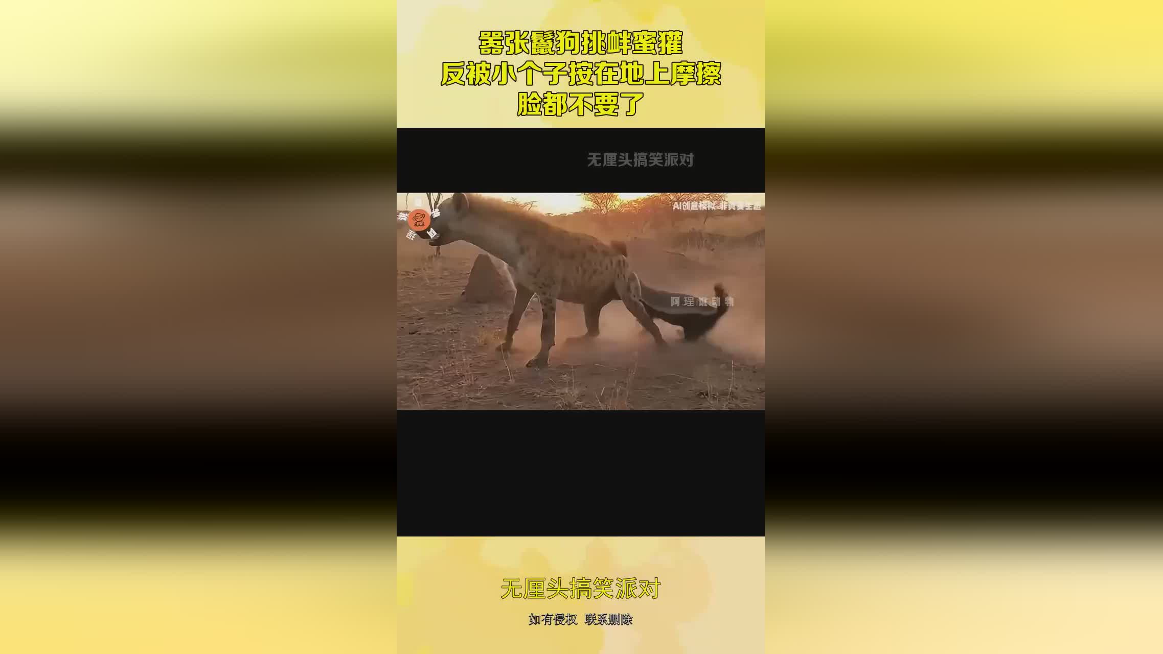 图
