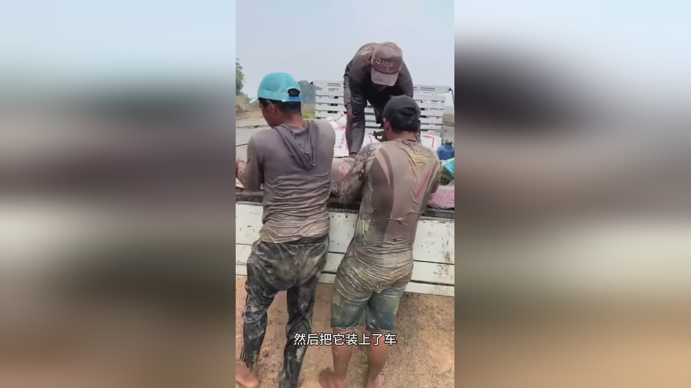 图