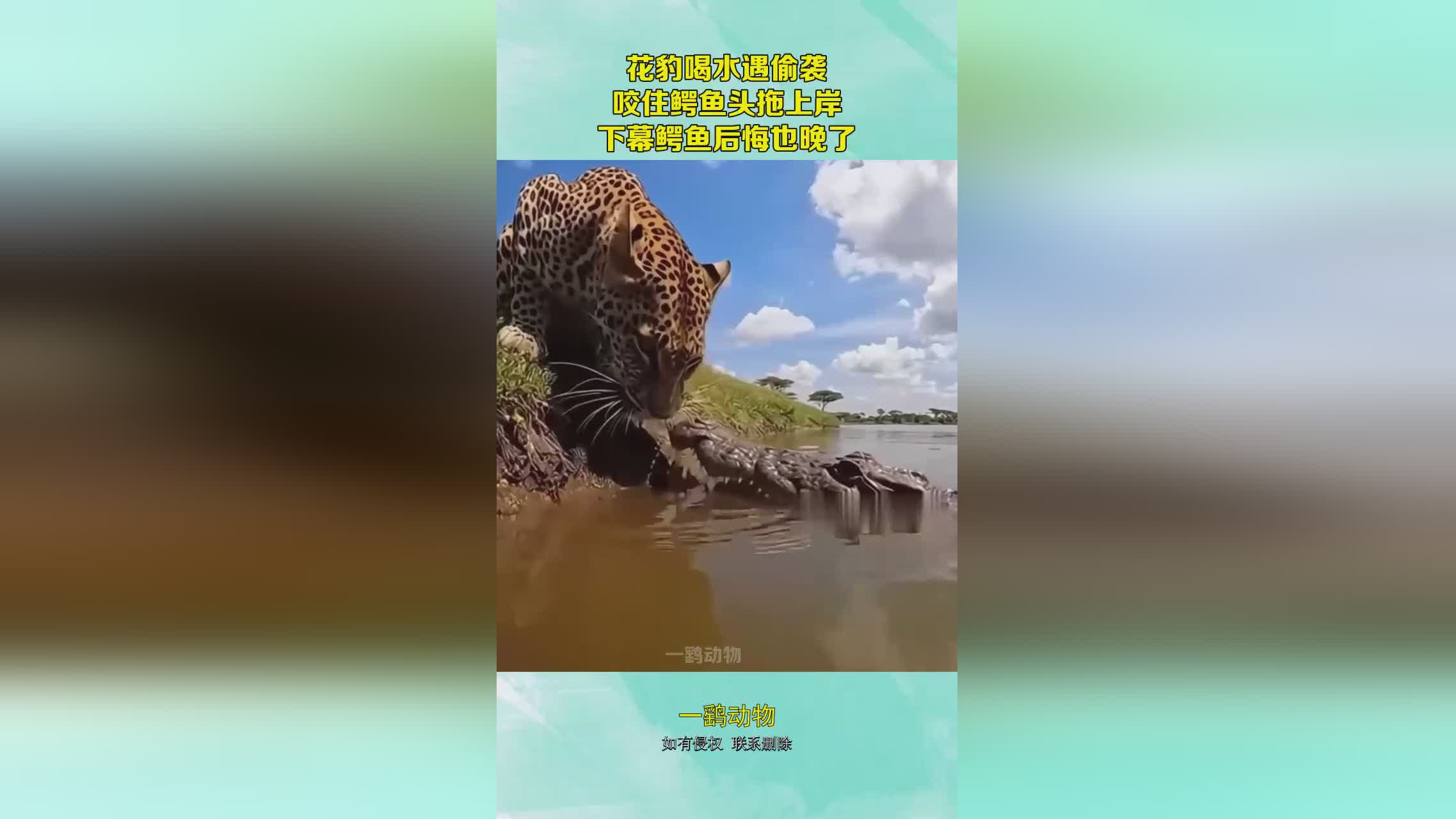 图