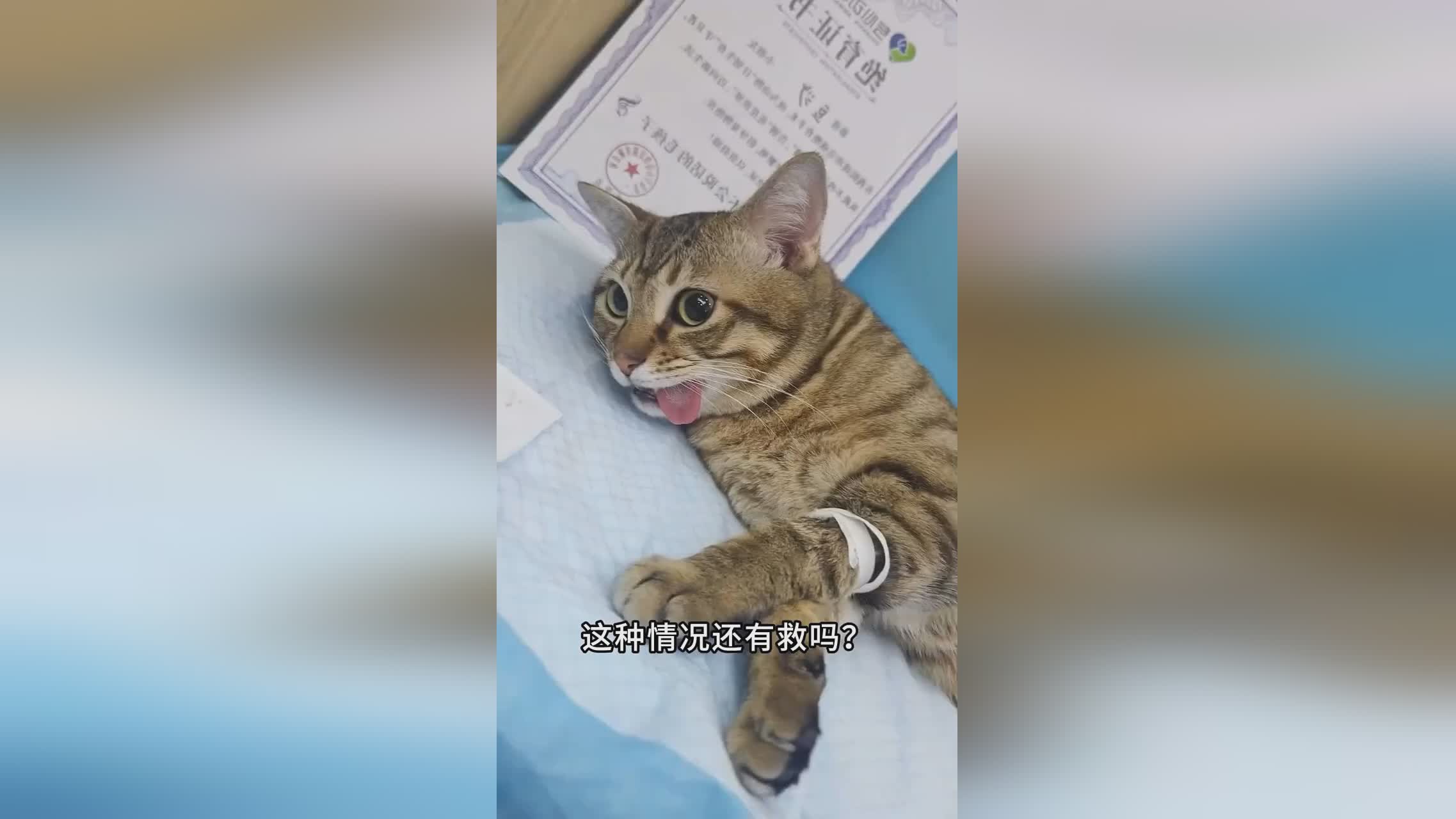 图