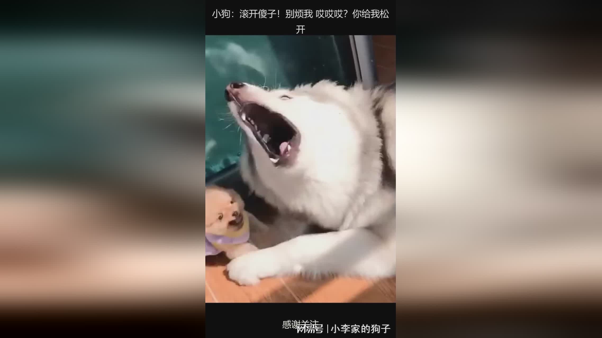 图