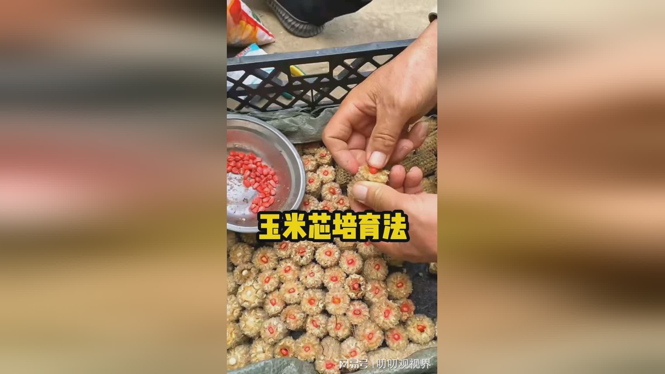 图