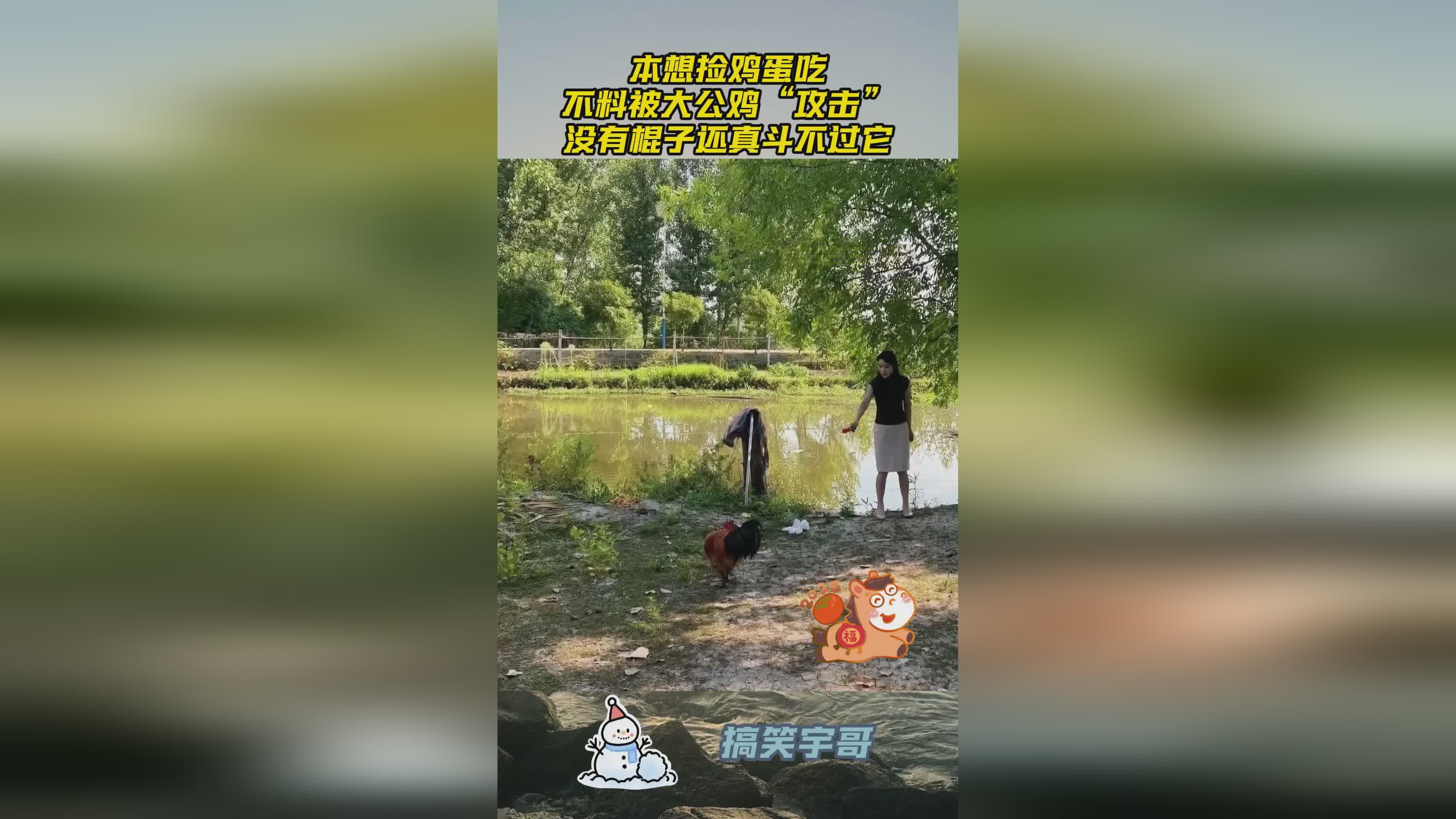 图