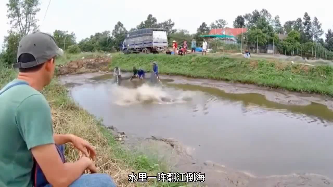 图