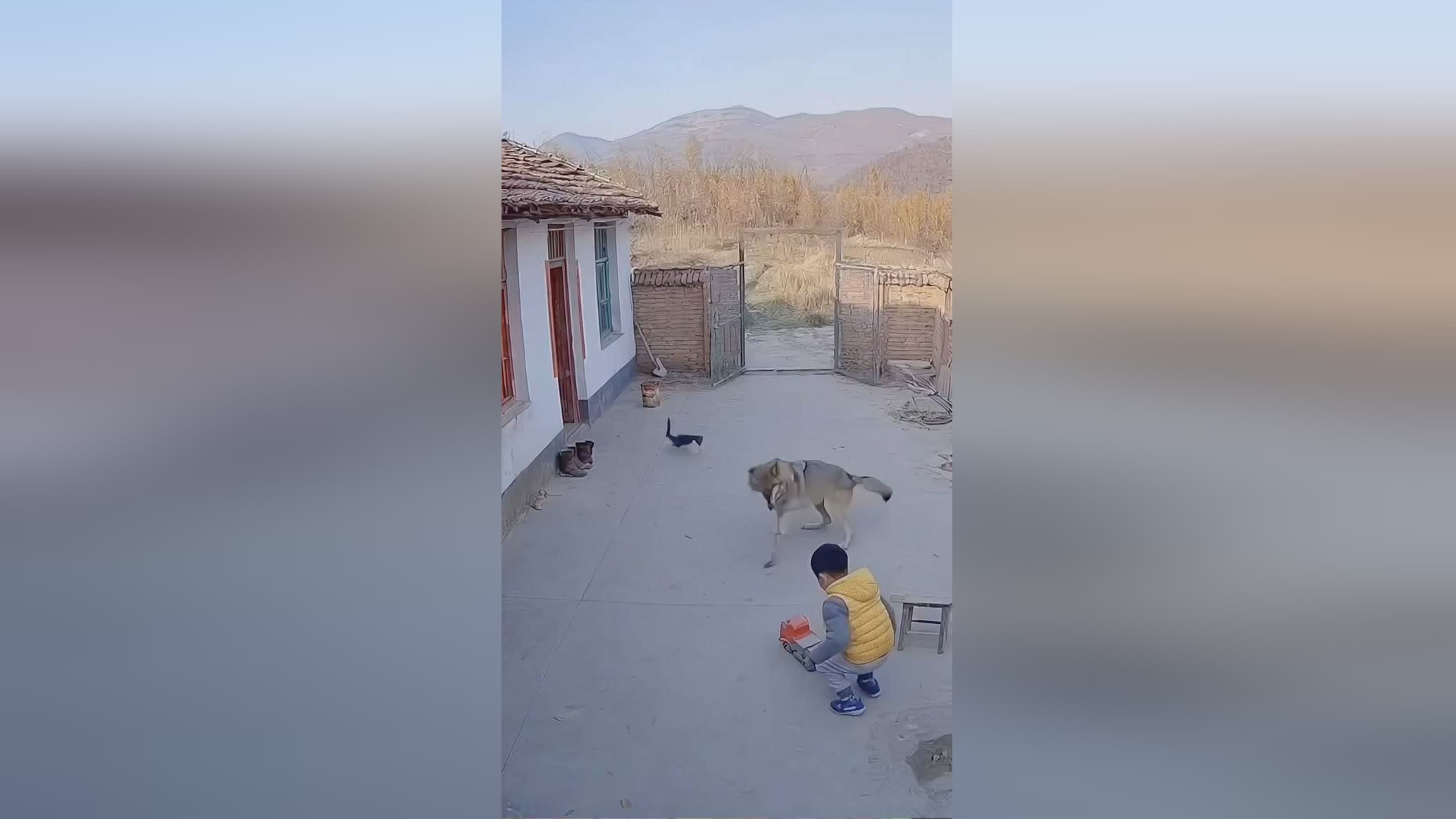 图