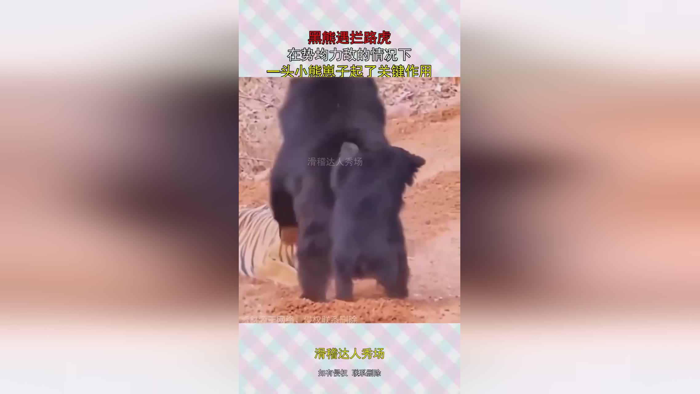 图
