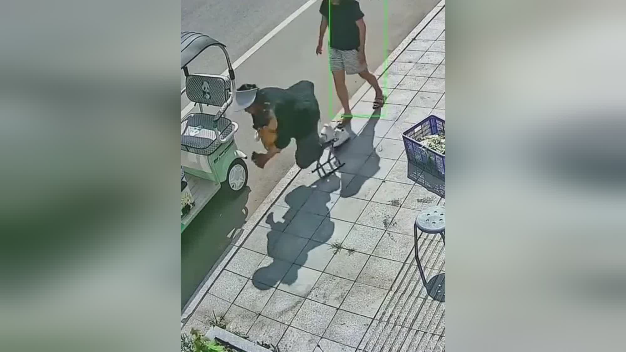 图