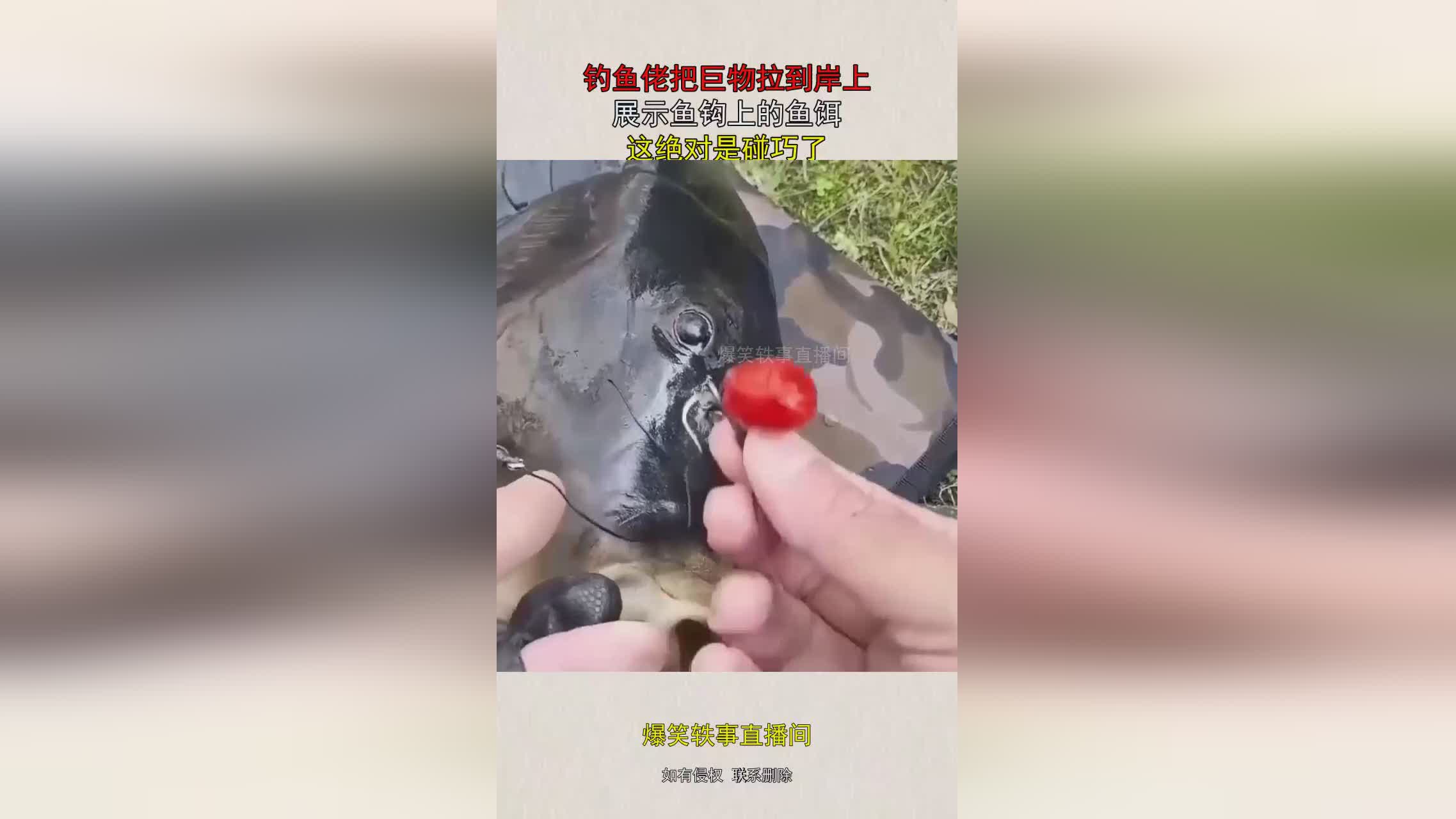 图