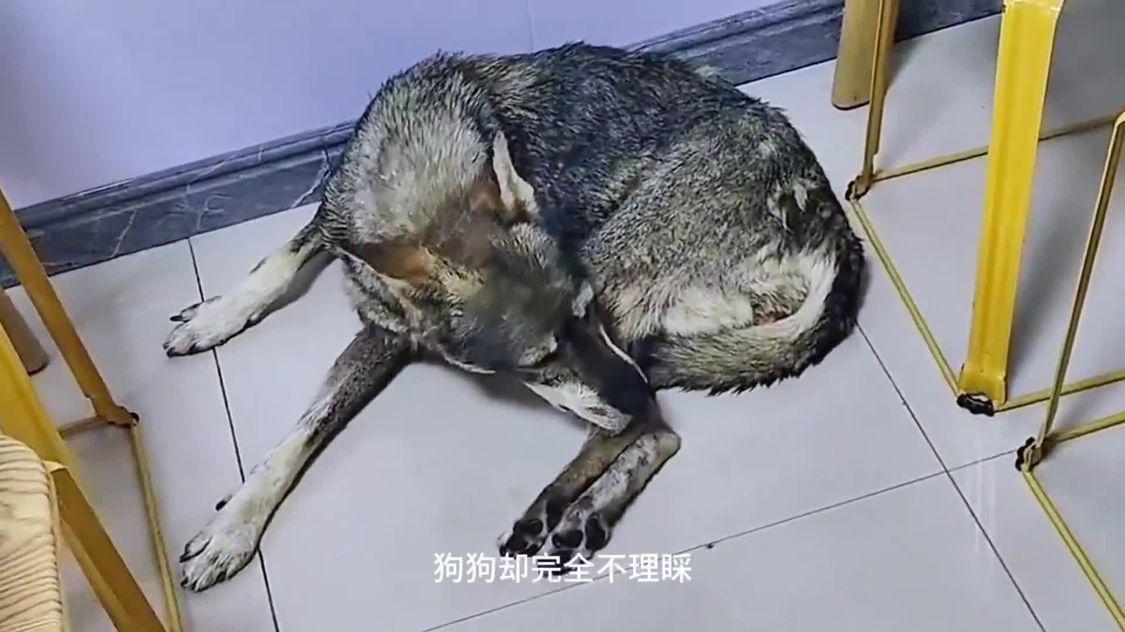 图