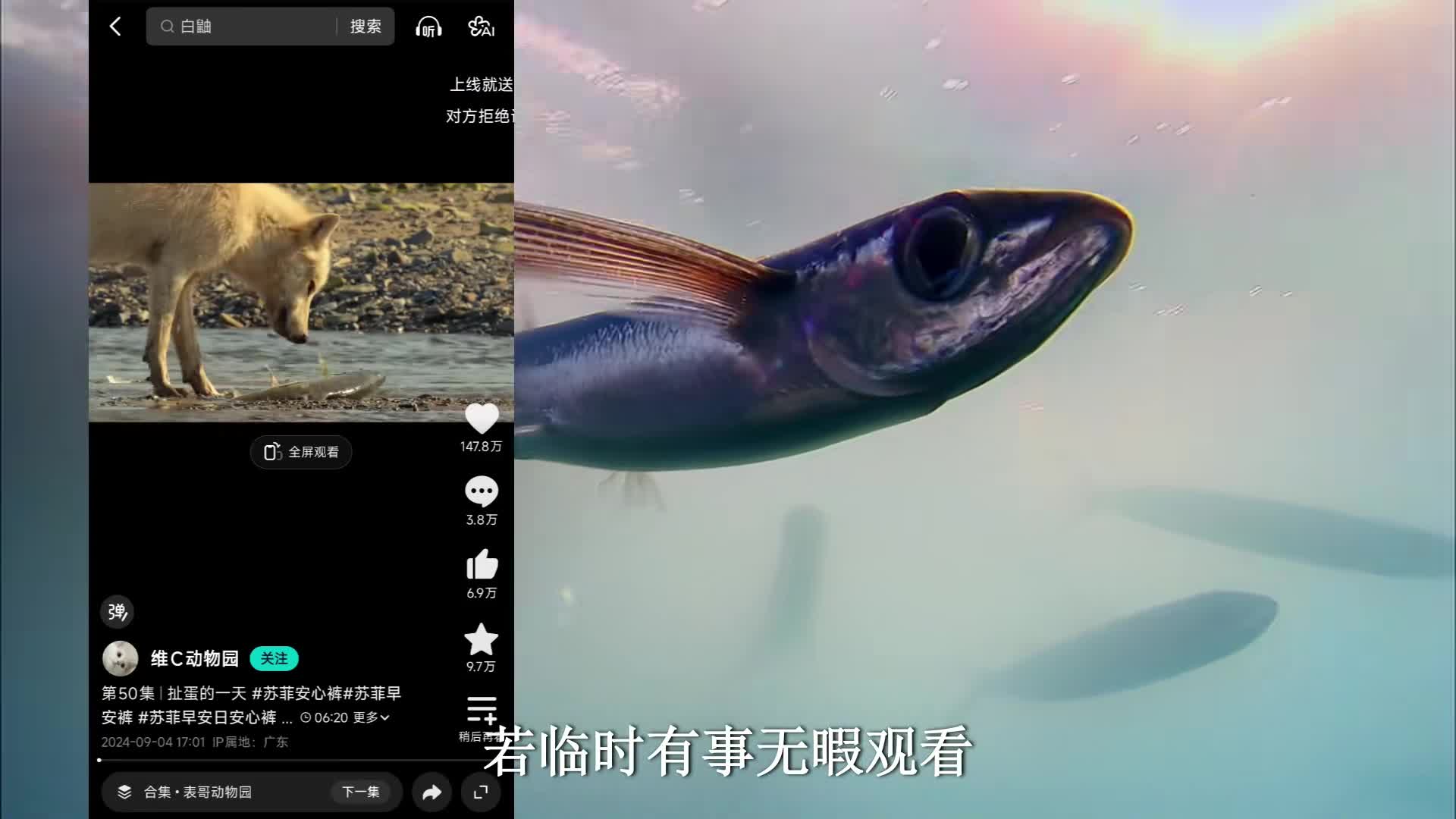 图