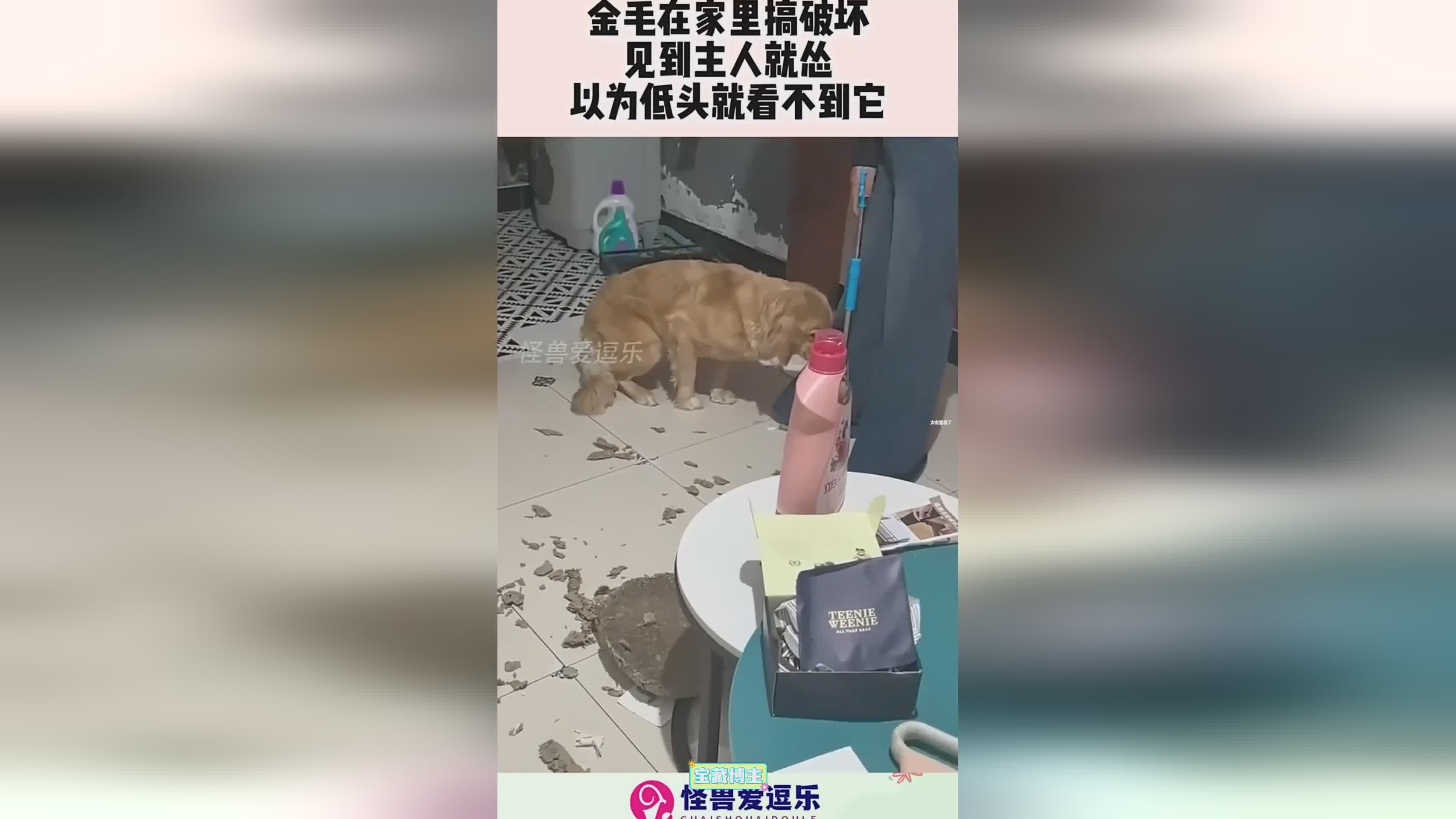 图
