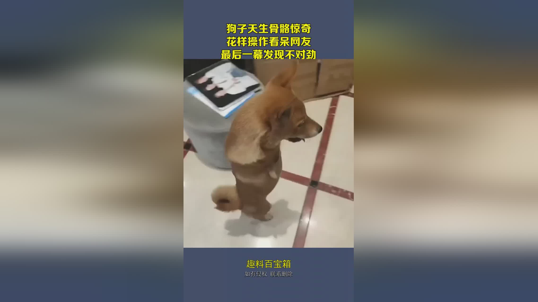 图