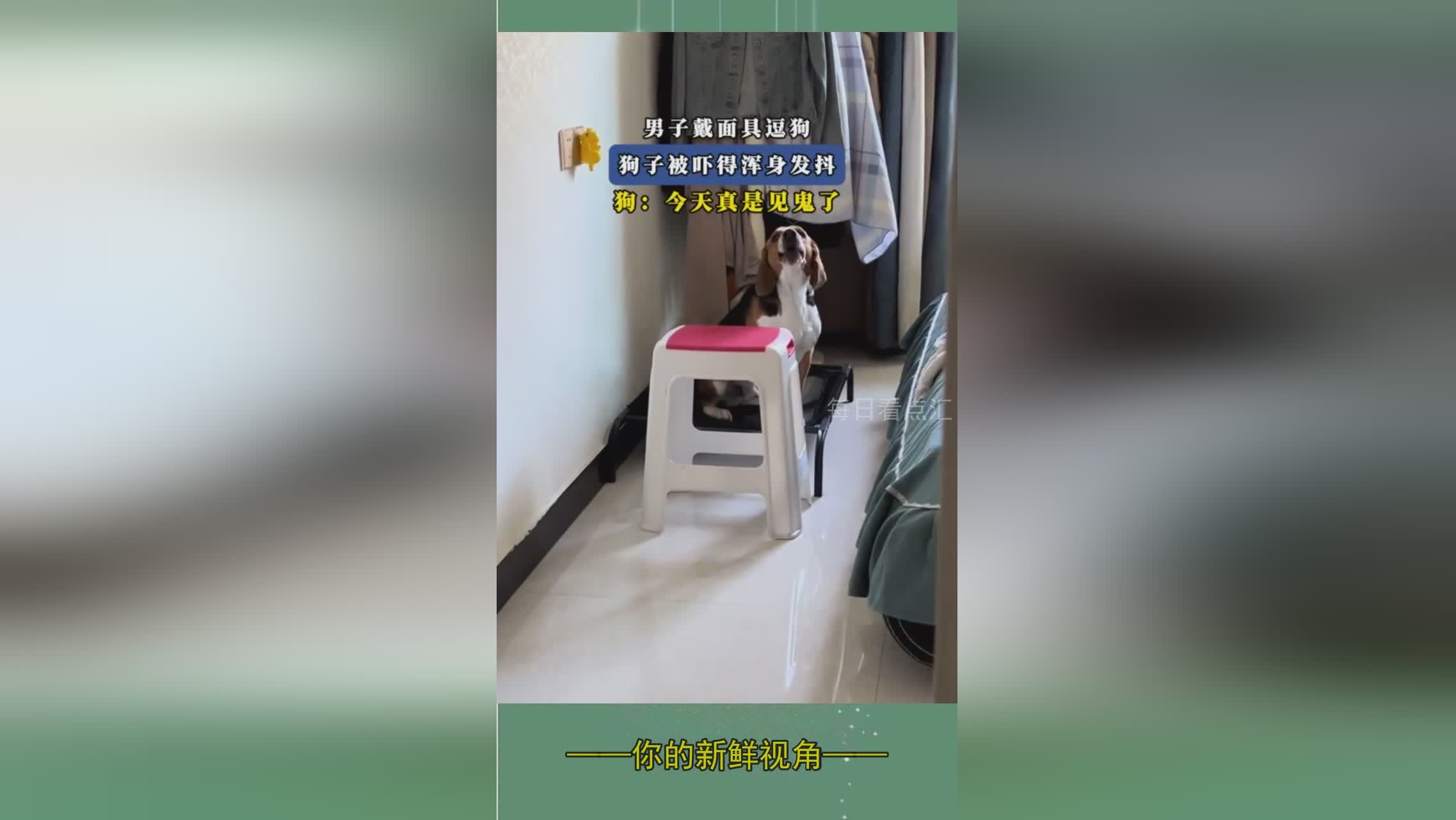 图