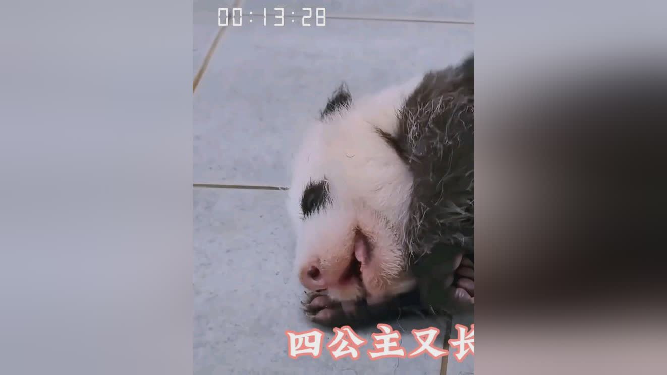 图