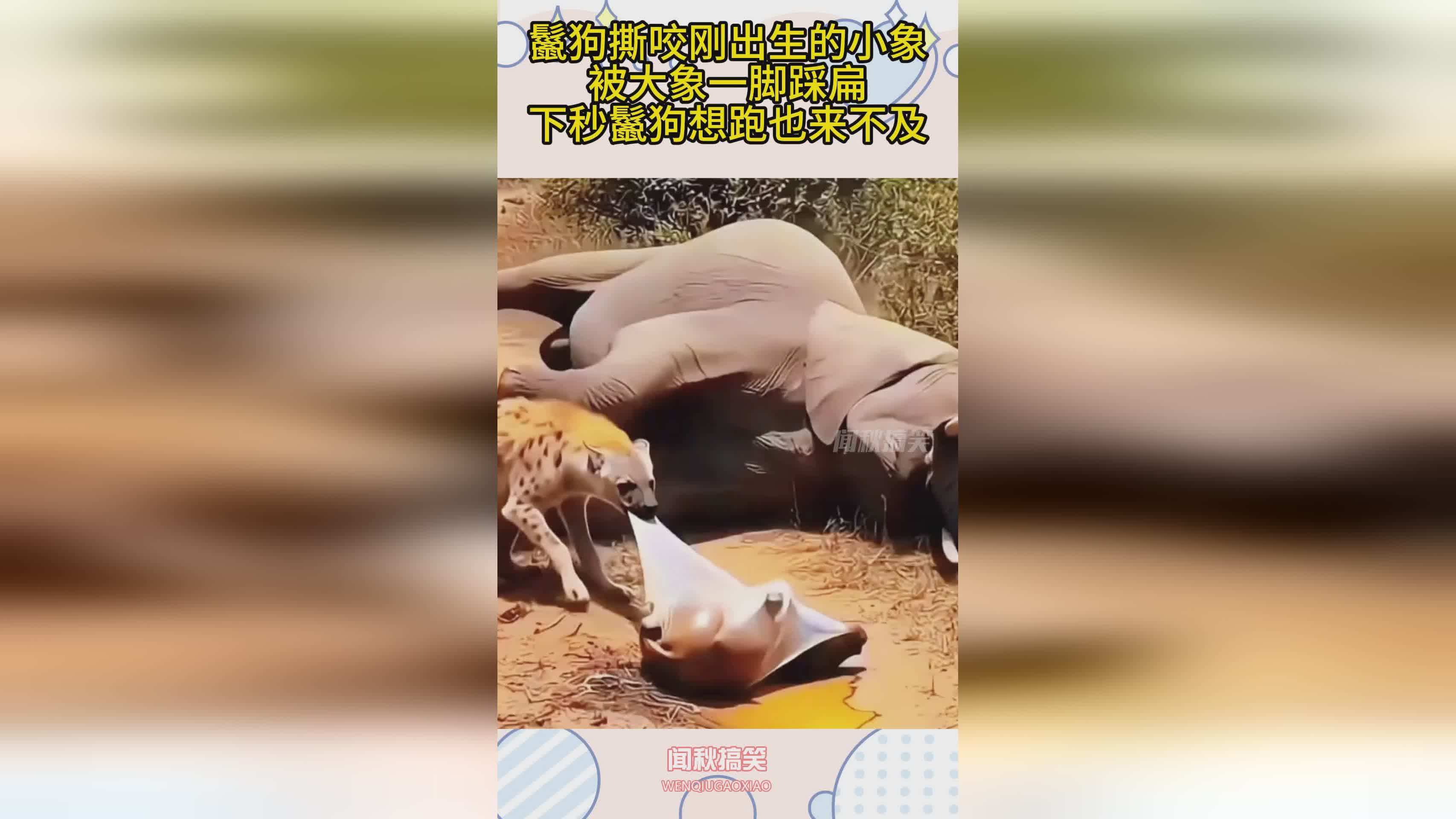 图
