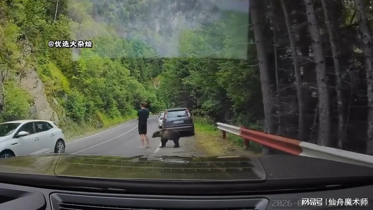 图