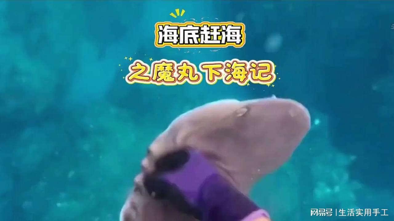 图
