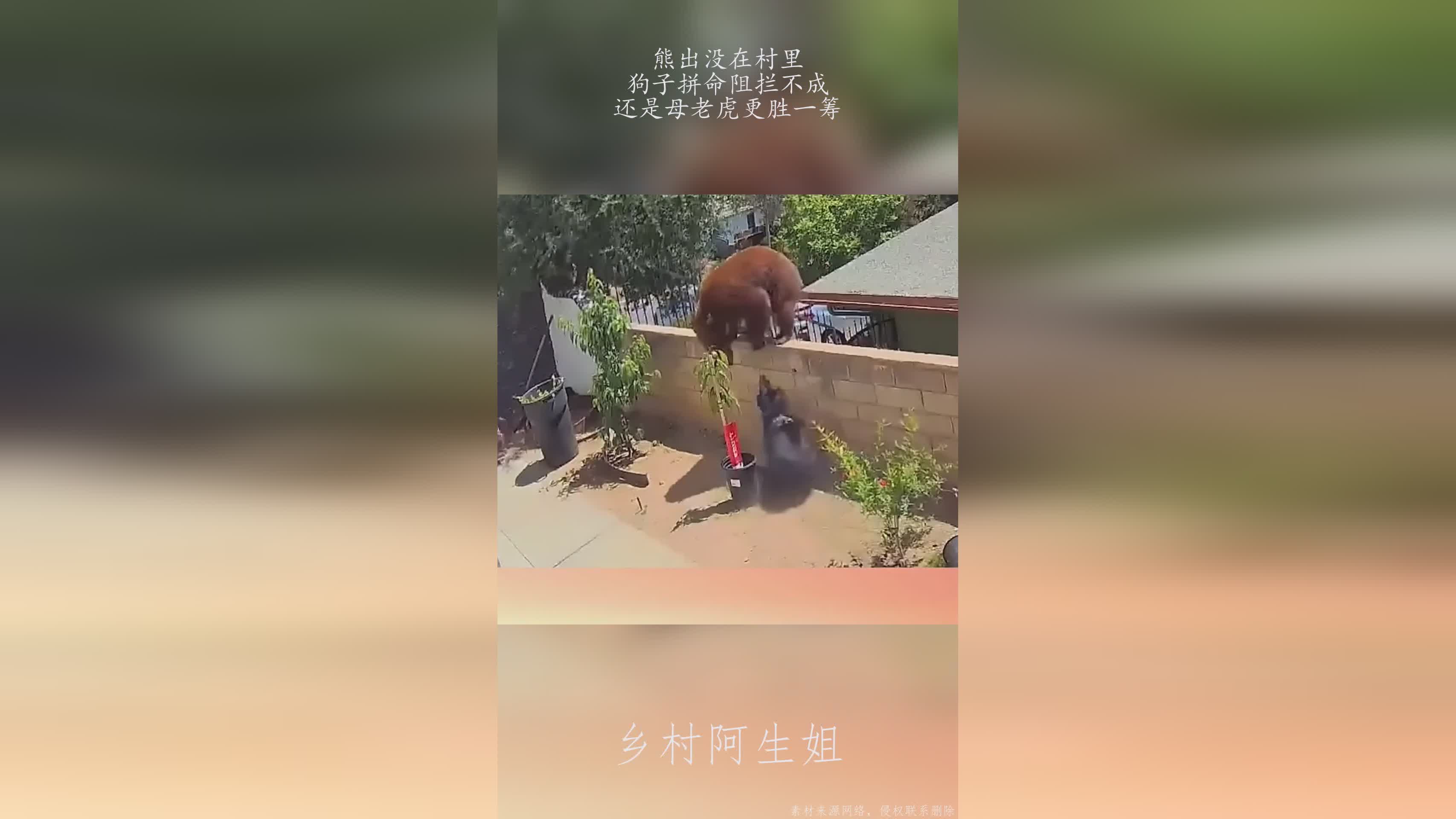图