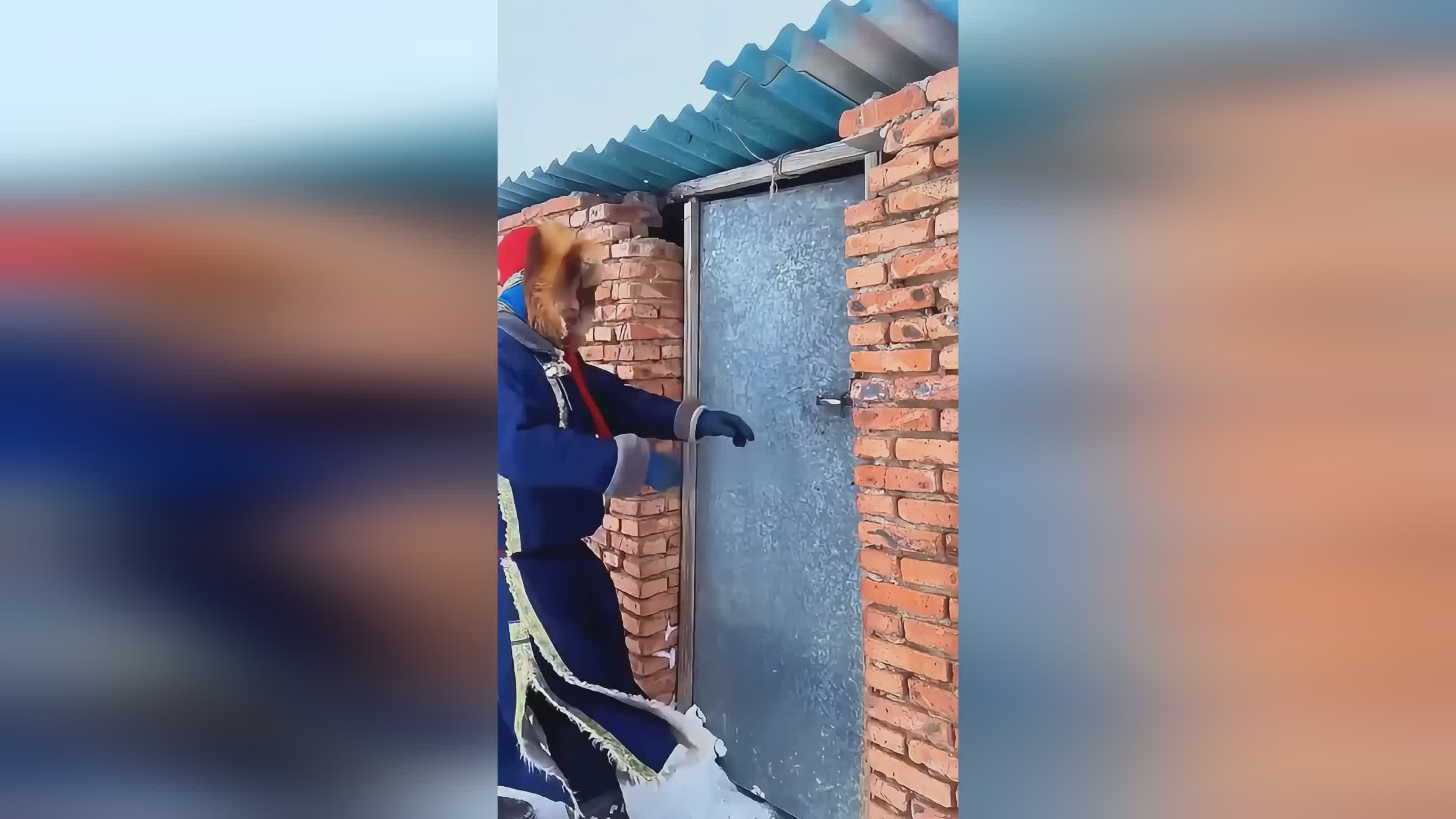 图