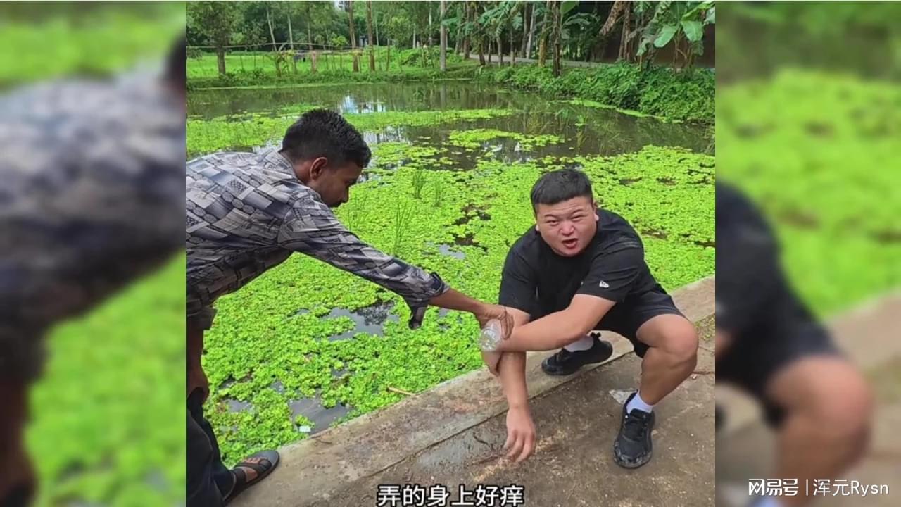 图