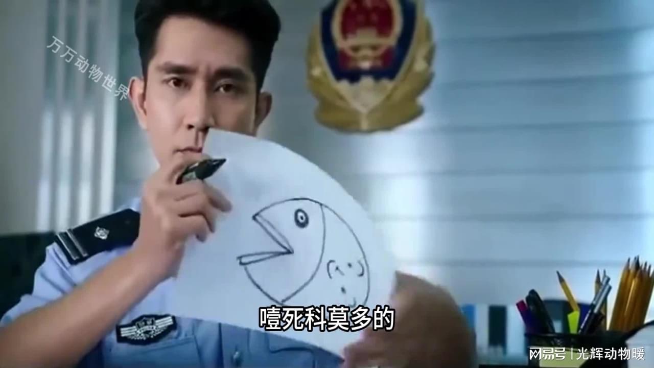 图
