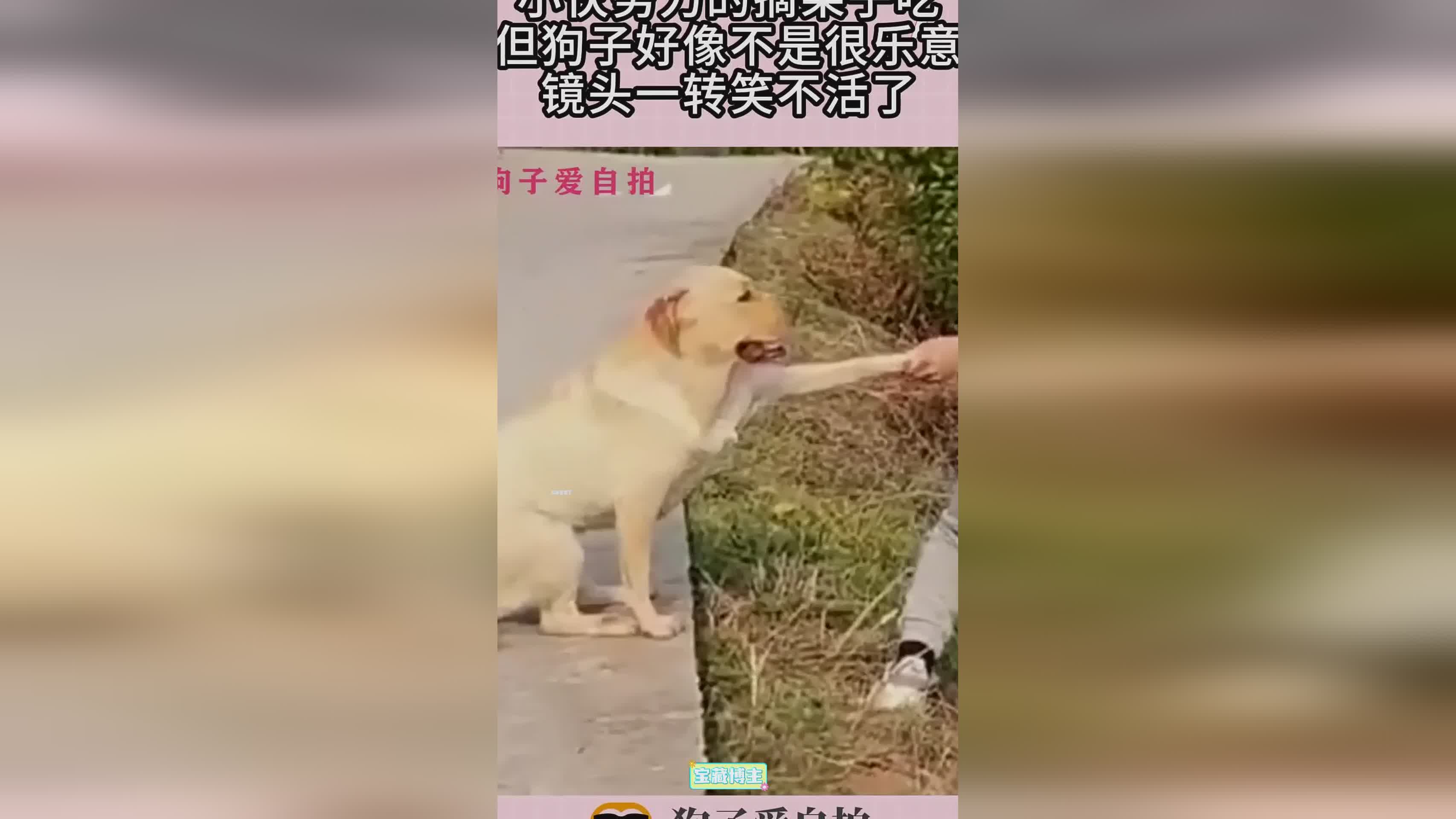 图
