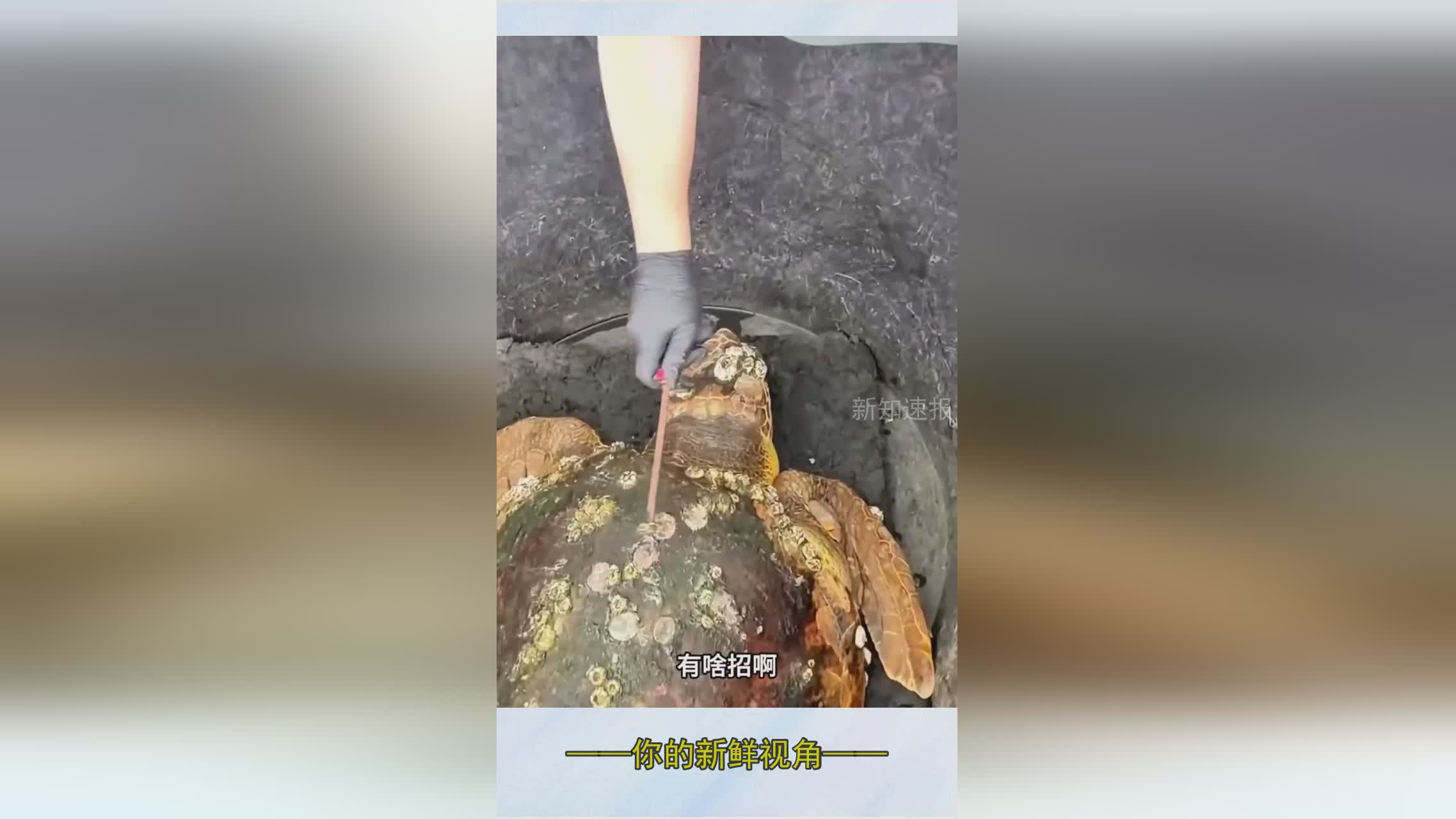 图