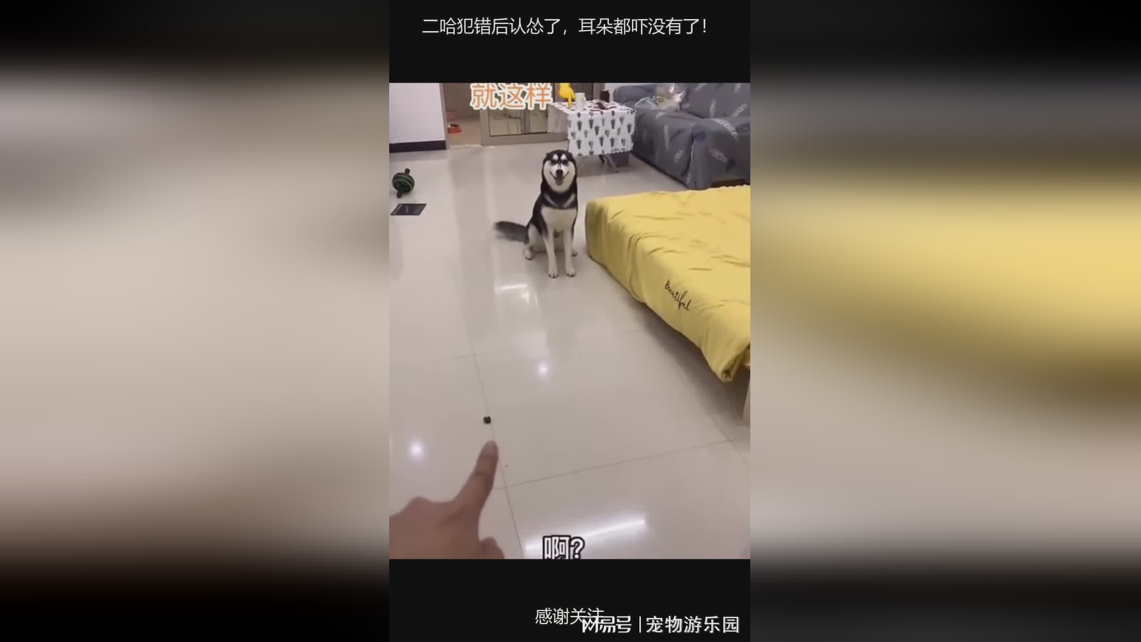 图