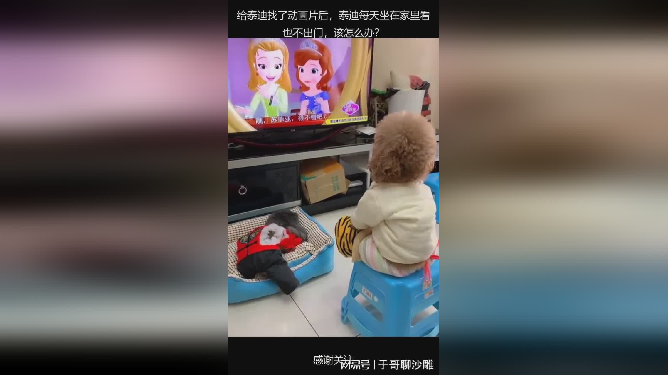 图