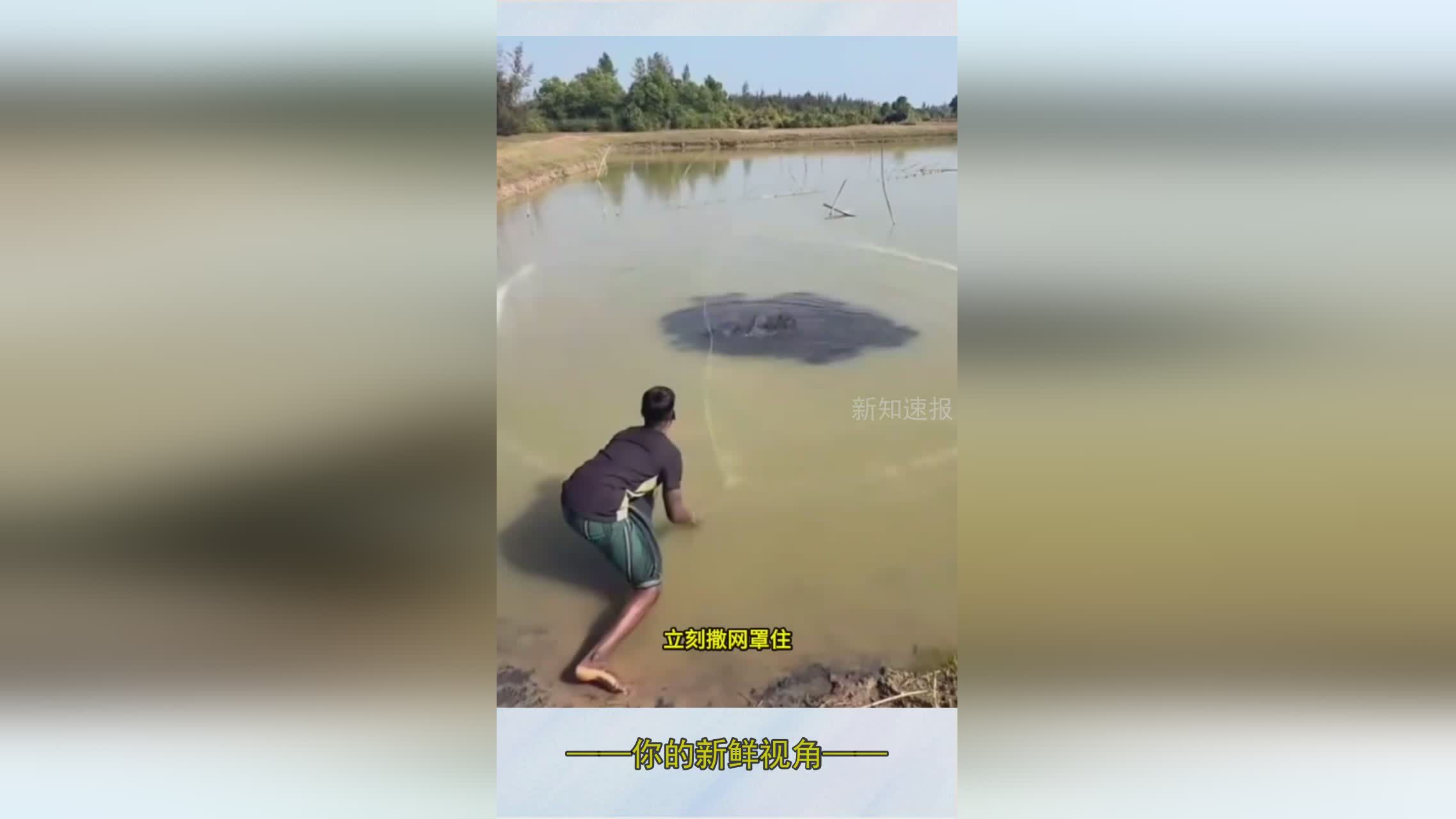 图