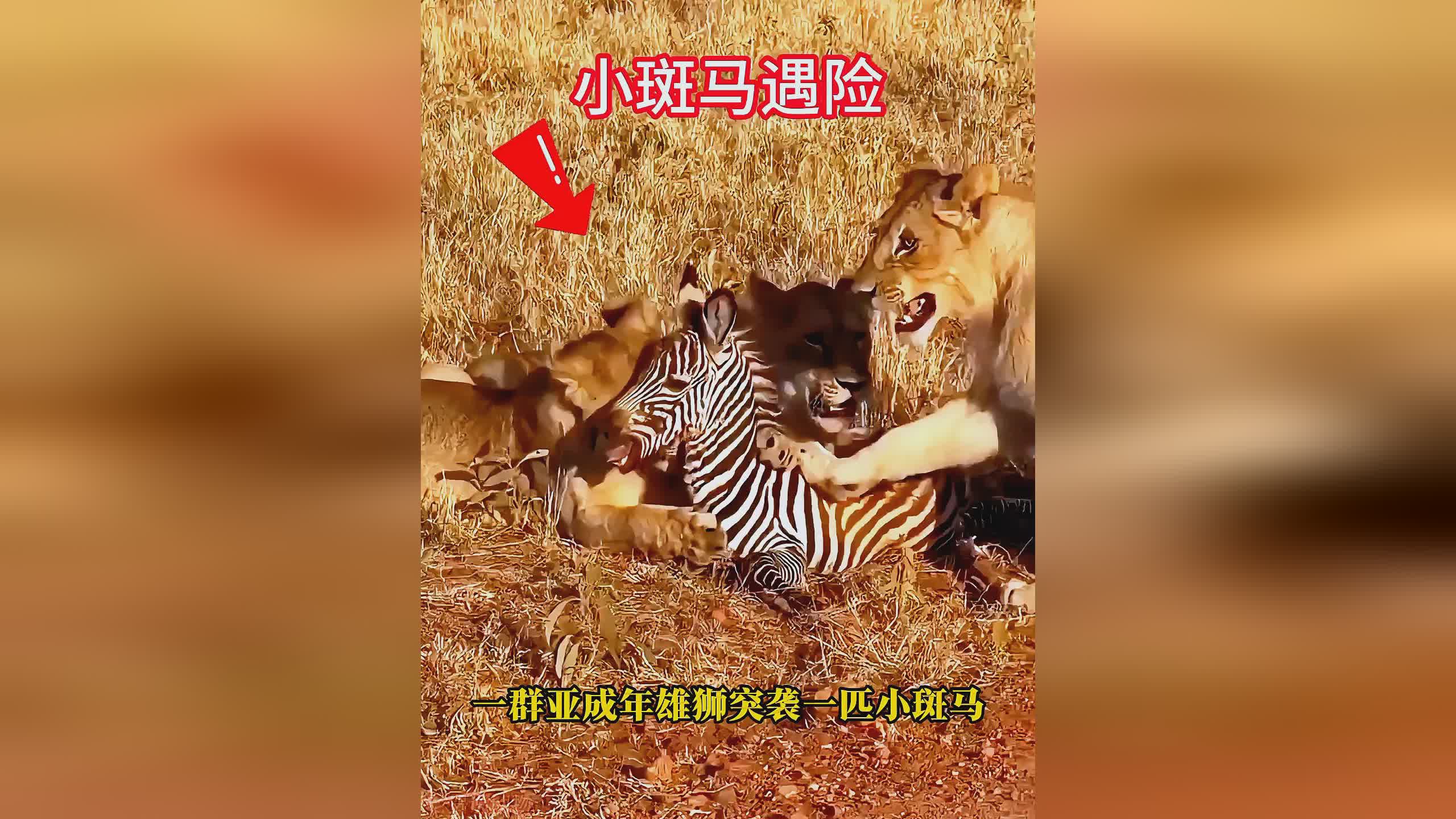 图
