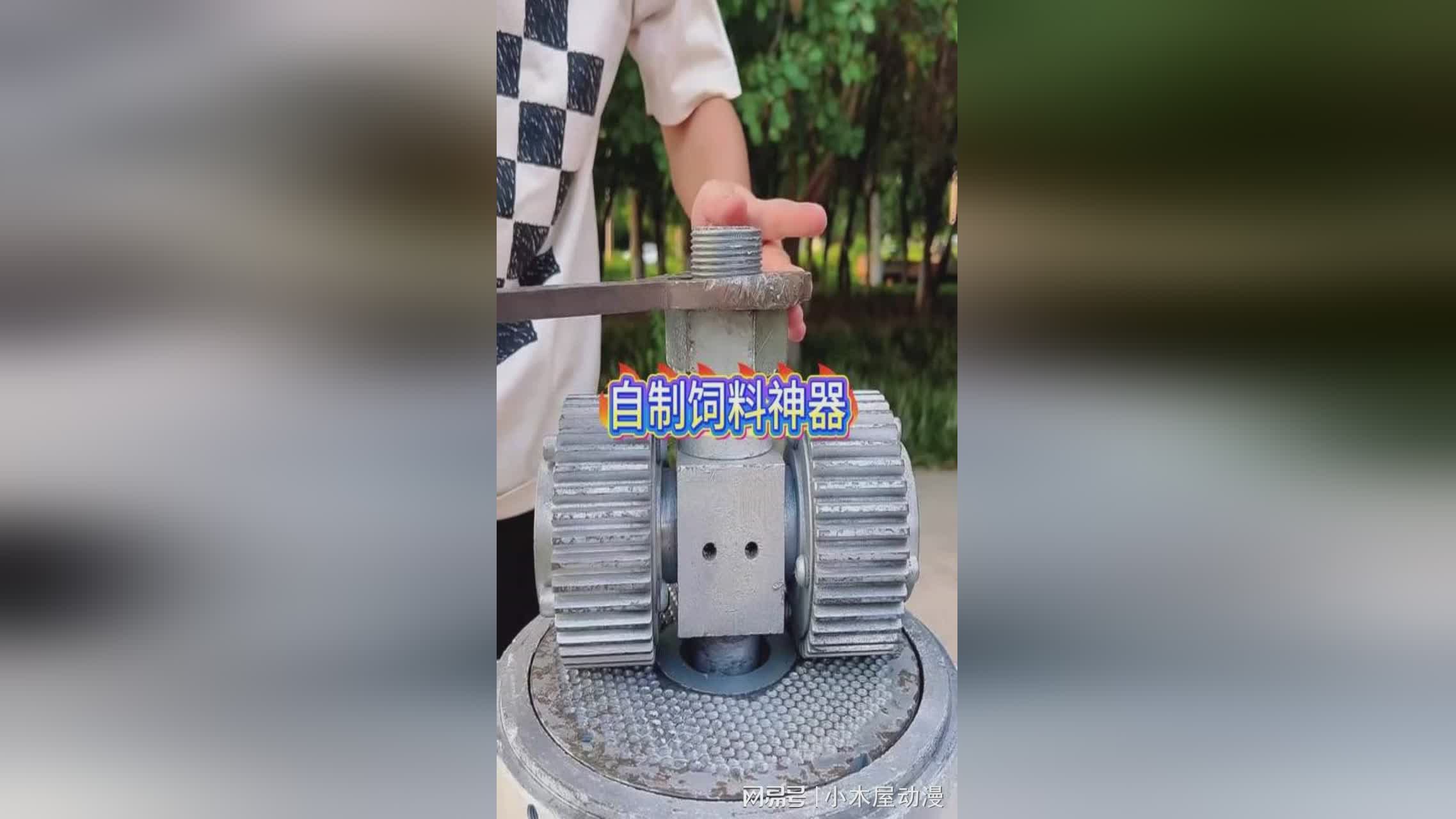 图