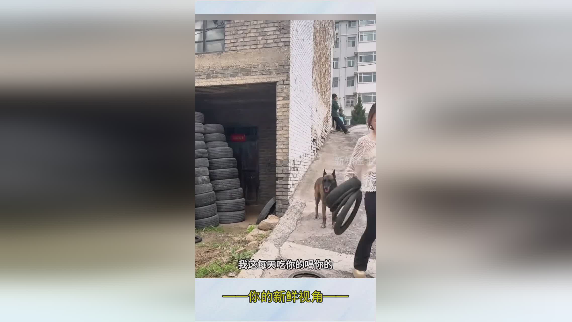 图